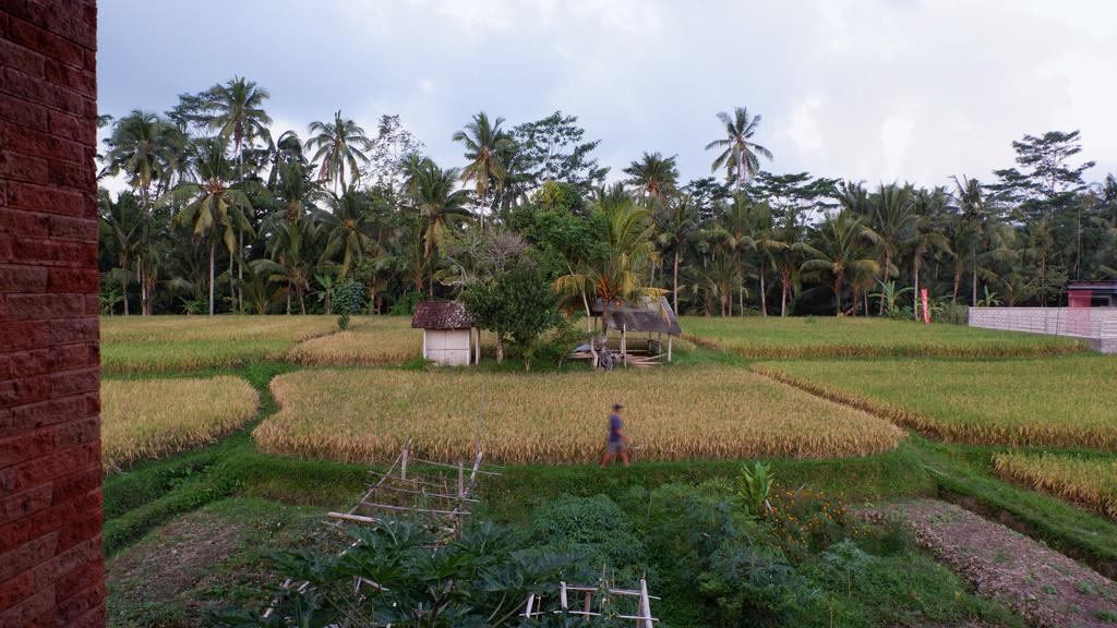 Wayan Garden Hotel Ubud Kültér fotó