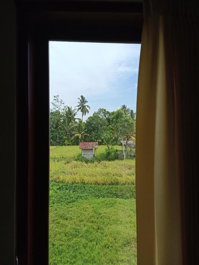 Wayan Garden Hotel Ubud Kültér fotó