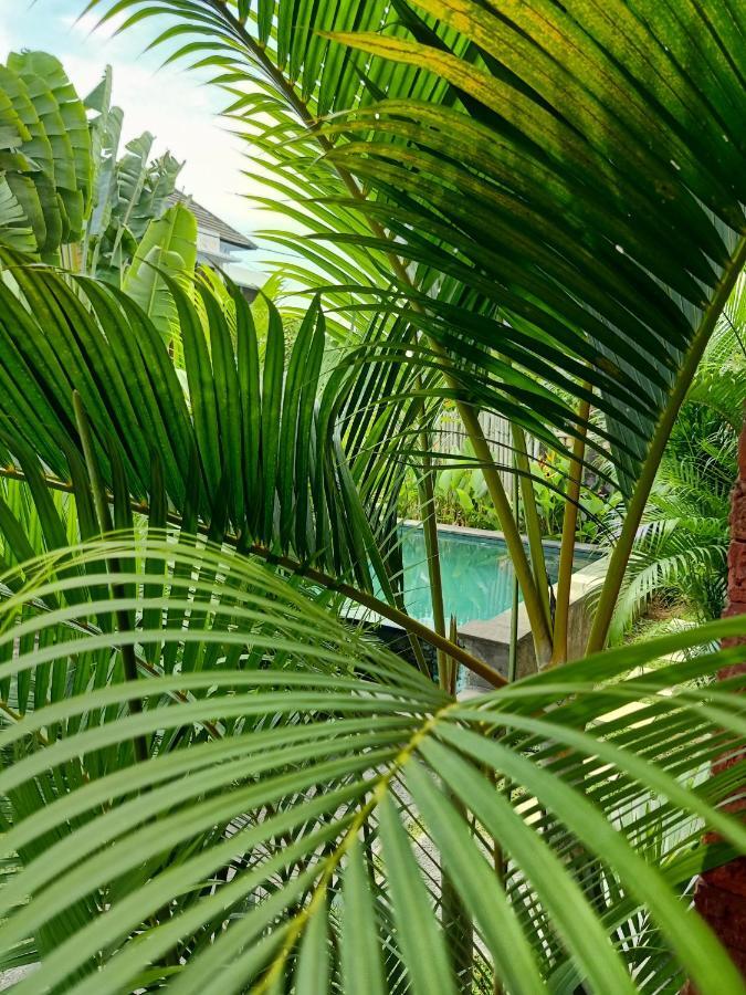 Wayan Garden Hotel Ubud Kültér fotó