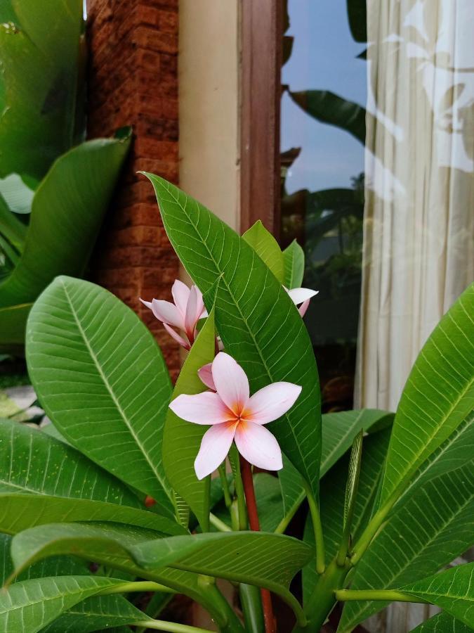 Wayan Garden Hotel Ubud Kültér fotó